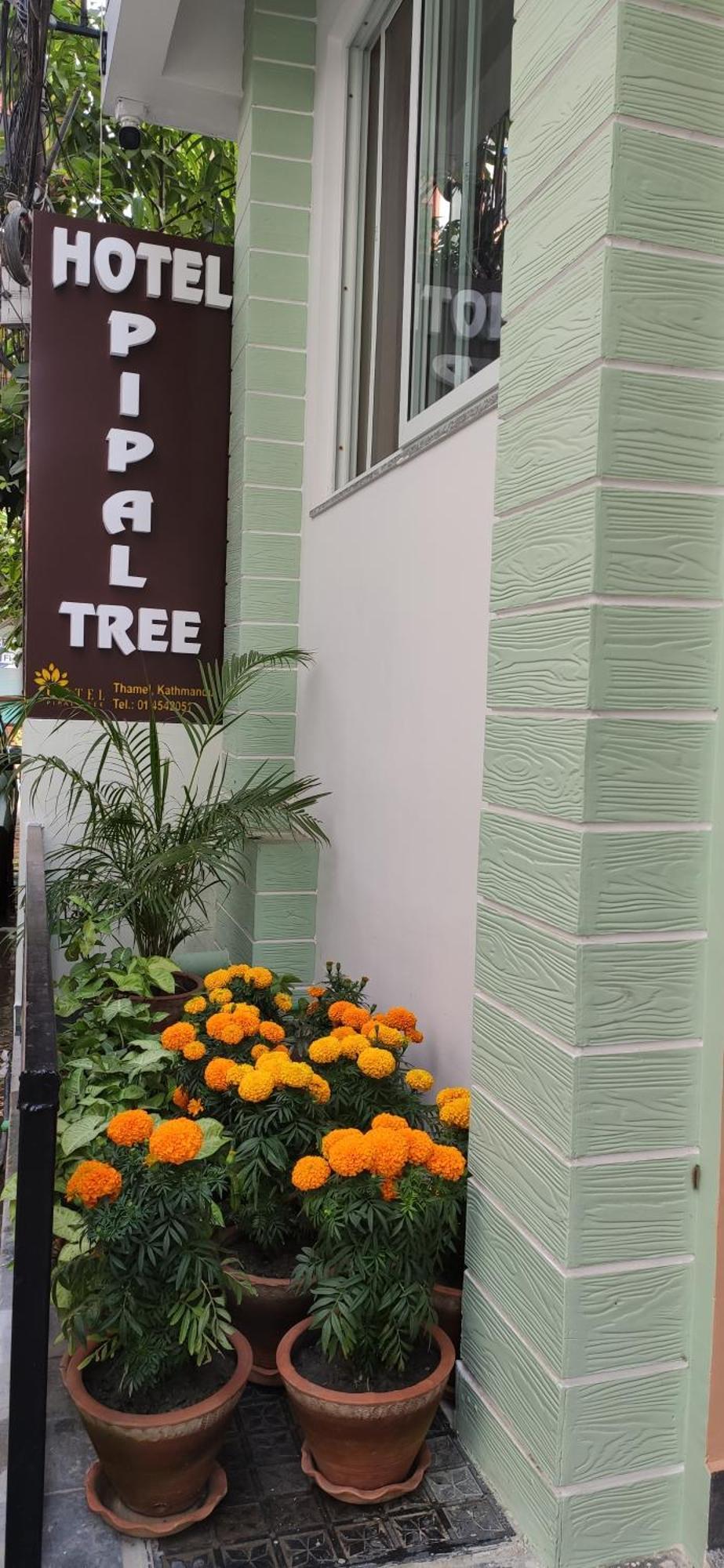 Hotel Pipal Tree Kathmandu Exterior foto